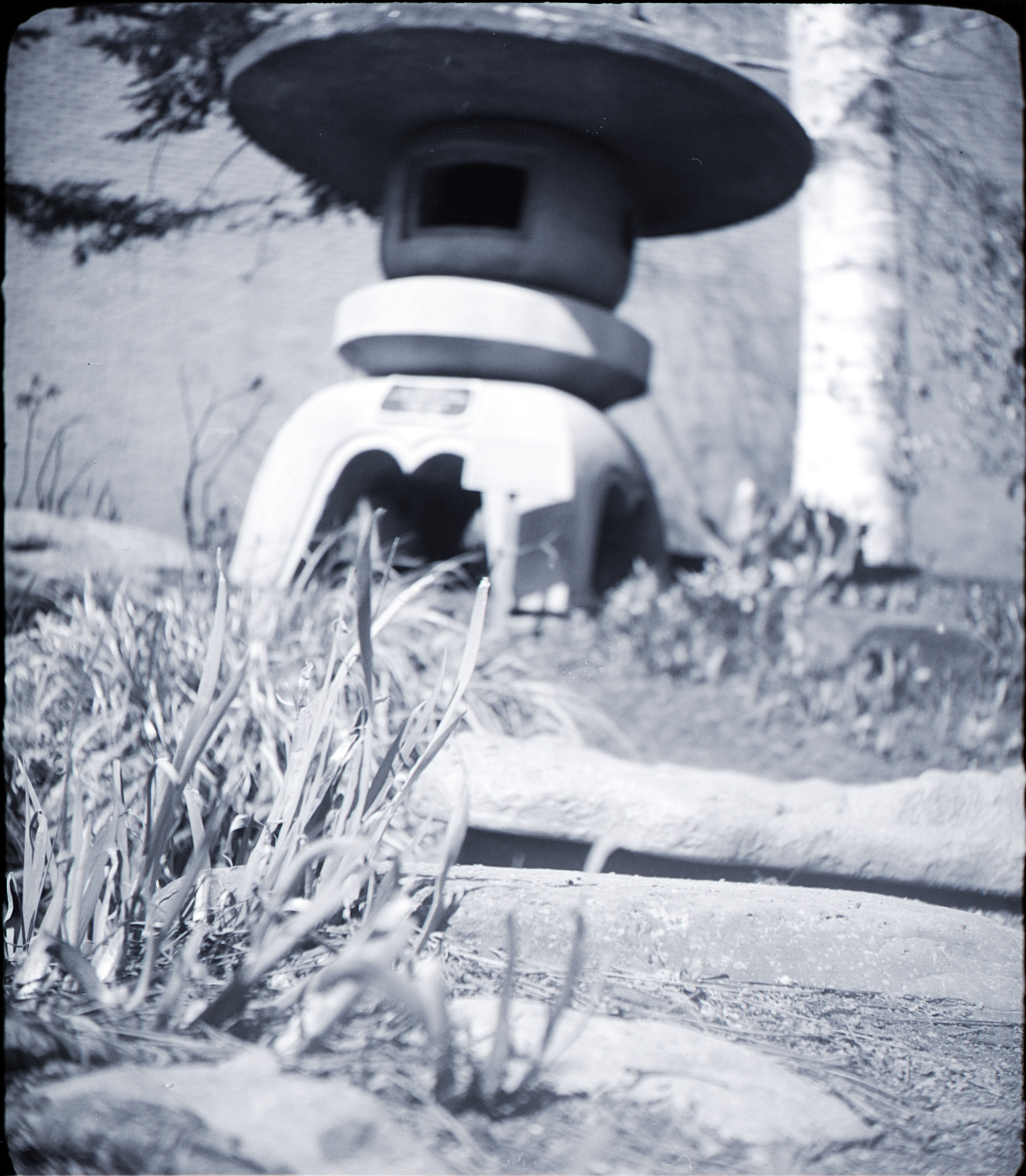 a black and white picture of some grass in front of a circular stone marker and a tree. only the grass is in focus