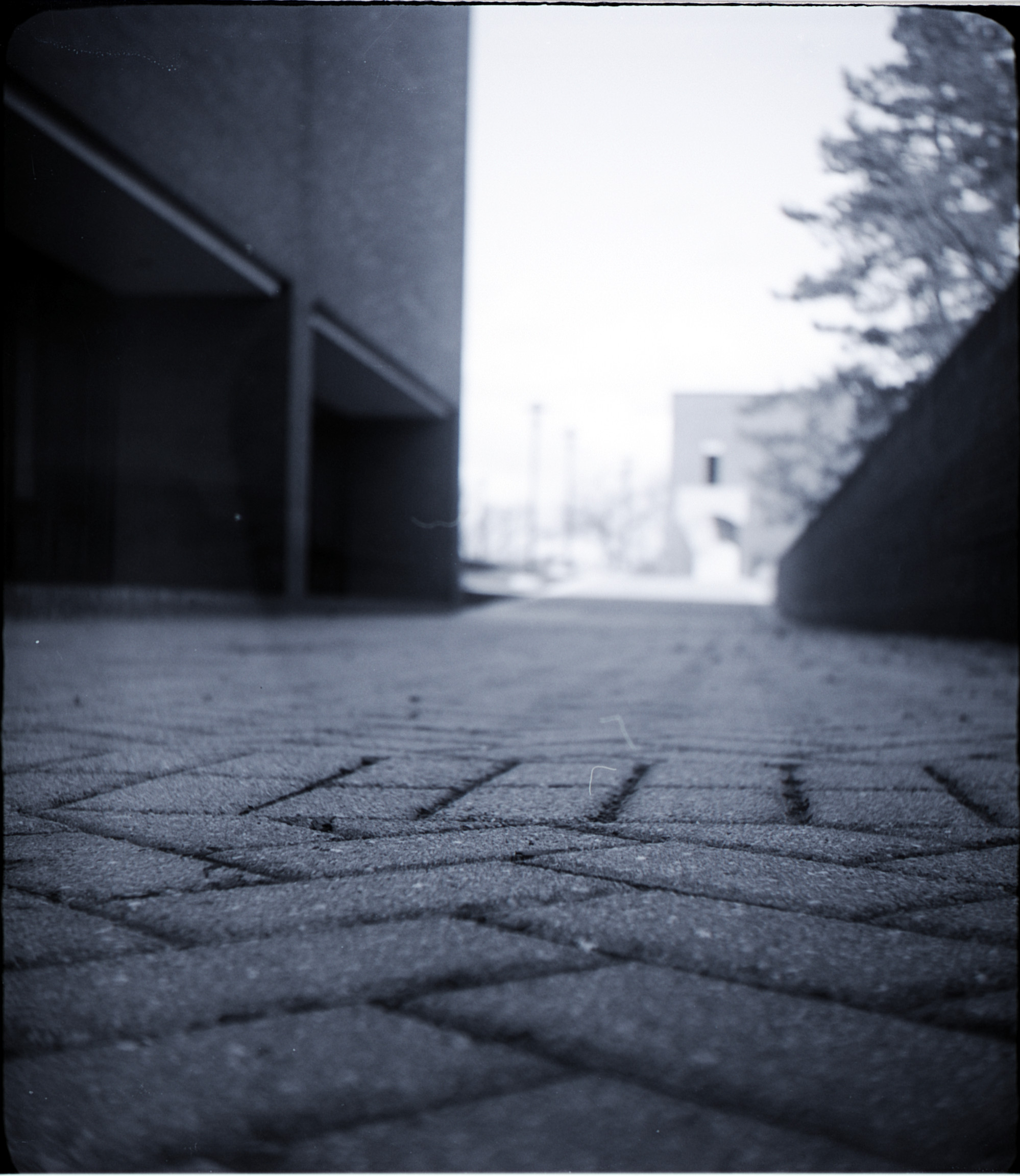 a black and white photo of a brick sidewalk with some brick buildings out of focus in the background
